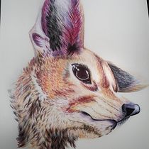Il mio progetto del corso: Illustrazione surrealista ispirata alla natura. Traditional illustration, Pencil Drawing, Drawing, Artistic Drawing, Naturalistic Illustration, and Colored Pencil Drawing project by Daniela Falaschi - 02.19.2022