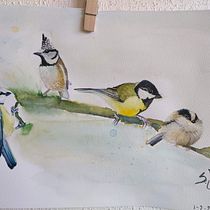 My project in Artistic Watercolor Techniques for Illustrating Birds course. Traditional illustration, Watercolor Painting, Realistic Drawing, and Naturalistic Illustration project by wensvandelaar - 02.19.2022