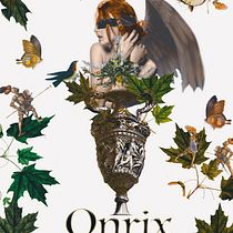 Mi Proyecto del curso: Ilustración con collage digital enfocado a producto. Ilustração tradicional, Colagem e Ilustração digital projeto de Bruno Milliot - 19.02.2022