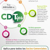 Mi Proyecto del curso: Creación de infografías animadas. Animation, Interactive Design, Infographics, and Digital Design project by Gonzalo Linares Arredondo - 12.22.2021