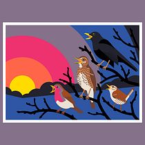 Dawn Chorus. Traditional illustration, Graphic Design, Vector Illustration, and Digital Illustration project by Liam O'Brien - 02.16.2022