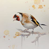My project in Artistic Watercolor Techniques for Illustrating Birds course. Traditional illustration, Watercolor Painting, Realistic Drawing, and Naturalistic Illustration project by i_tink - 02.20.2022