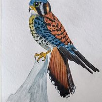 Mi Proyecto del curso: Ilustración naturalista de aves con acuarela. Ilustração tradicional, Pintura em aquarela, Desenho realista e Ilustração naturalista projeto de Virginia Daga - 20.02.2022