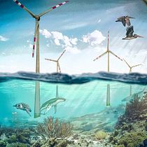 Mein Kursprojekt: wind of change. Een project van Fotografie, Collage, Retoucheren van foto's, Artistieke fotografie, Fotografische compositie y Fotomontage van Martin Müller - 20.02.2022