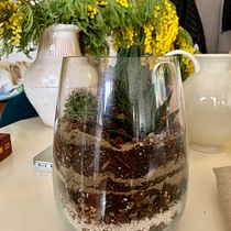 My project in Plant Art: Create Your Own Open Terrarium  course. Interior Design, L, scape Architecture, Decoration, DIY, Floral, and Plant Design project by fiveagle - 02.20.2022