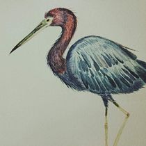 A garça. Ilustração tradicional, Pintura em aquarela, Desenho realista e Ilustração naturalista projeto de Christiane Fragoso - 21.02.2022
