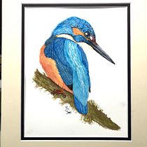 My project in Naturalist Bird Illustration with Watercolors course. Ilustração tradicional, Pintura em aquarela, Desenho realista e Ilustração naturalista projeto de Sue Kraft - 21.02.2022
