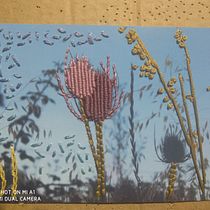 Mi Proyecto: aita eta ama. Photograph, and Embroider project by olaxa04 - 02.22.2022