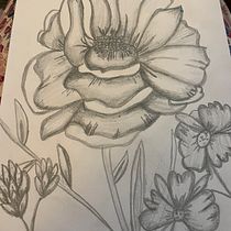Mi Proyecto del curso: Dibujo para principiantes nivel -1. Pencil Drawing, Drawing, Creating with Kids, and Sketchbook project by altovany1 - 02.22.2022