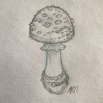 My project in Botanical Tattoo with Pointillism course: Toadstool. Ilustração tradicional, Desenho de tatuagens e Ilustração botânica projeto de nuts912_1 - 15.02.2022