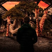Mi Proyecto del curso: Secretos del fotomontaje y el retoque creativo. Photograph, Photograph, Post-production, VFX, Photo Retouching, Fine-Art Photograph, Photographic Composition, and Photomontage project by jesus.pameb - 02.24.2022