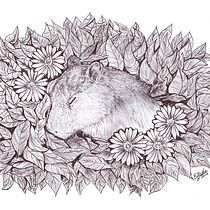 Capibara con flores Ein Projekt aus dem Bereich Traditionelle Illustration, Bleistiftzeichnung, Zeichnung, Realistische Zeichnung, Artistische Zeichnung und Illustration mit Tinte von Estrella Rubilar - 18.02.2022