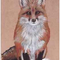 Zorrito. Traditional illustration, Fine Arts, and Watercolor Painting project by Estrella Rubilar - 02.21.2022