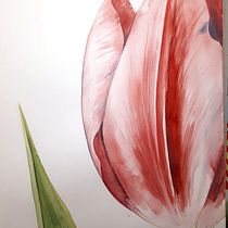 My project in Illustrating Nature: Tulips and wagtails. Traditional illustration, Painting, Drawing, Watercolor Painting, Ink Illustration, and Naturalistic Illustration project by marieke - 02.24.2022