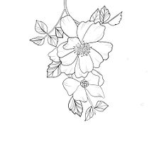 Il mio progetto del corso: Tatuaggio botanico con puntinismo. Projekt z dziedziny Trad, c, jna ilustracja, Projektowanie tatuaż, R i sunek botaniczn użytkownika Laura Tedesco - 24.02.2022