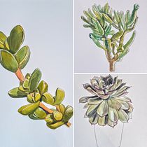 My project in Botanical Sketchbooking: A Meditative Approach course. Traditional illustration, Sketching, Drawing, Watercolor Painting, Botanical Illustration, and Sketchbook project by norah.winkelaar - 02.24.2022