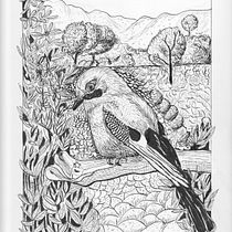 Mon projet du cours : Illustration à l'encre et à la plume : représentez le monde naturel. Un projet de Esquisse , Dessin, Dessin artistique, Carnet de croquis, Illustration à l'encre et Illustration naturaliste de Francine Calestagne - 22.02.2022