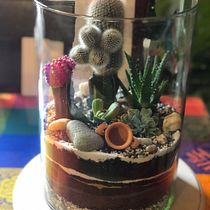 Mi Proyecto del curso: Arte vegetal: crea tu propio terrario abierto. Interior Design, L, scape Architecture, Decoration, DIY, Floral, and Plant Design project by Carmenza Rojas R - 02.25.2022