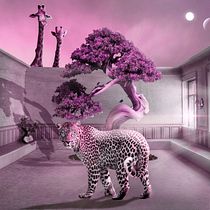 Mi Proyecto del curso: Secretos del fotomontaje y el retoque creativo. Photograph, Photograph, Post-production, VFX, Photo Retouching, Fine-Art Photograph, Photographic Composition, and Photomontage project by Cristina Gutierrez Buendía - 02.25.2022
