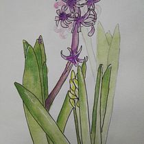 Mein Kursprojekt: Botanisches Zeichenheft: ein meditativer Ansatz. Ilustração tradicional, Esboçado, Desenho, Pintura em aquarela, Ilustração botânica, e Sketchbook projeto de meggierosie - 25.02.2022