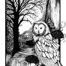 My project in Dip Pen and Ink Illustration: Capturing The Natural World course. Un projet de Esquisse , Dessin, Dessin artistique, Carnet de croquis, Illustration à l'encre et Illustration naturaliste de Grace Owen - 24.02.2022