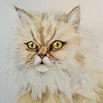 Mon projet du cours : Techniques expérimentales d’aquarelle pour débutants. Un progetto di Illustrazione tradizionale, Belle arti, Pittura ad acquerello e Illustrazione naturalistica di Mariève Jobin - 25.02.2022