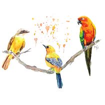 My project in Artistic Watercolor Techniques for Illustrating Birds course. Traditional illustration, Watercolor Painting, Realistic Drawing, and Naturalistic Illustration project by Adrián Rayón - 02.25.2022