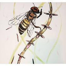 Mi Proyecto del curso: Sketching diario como inspiración creativa. Traditional illustration, Sketching, Creativit, Drawing, and Sketchbook project by Carolina Montenegro - 02.27.2022