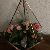 Mi primer terrario . Desain Aksesori, Desain Interior, Dekorasi, DIY, Desain Bunga, Dan Tanaman proyek oleh Jona Hortoneda - 02.27.2022