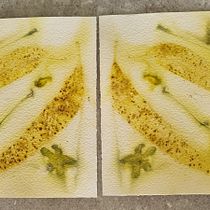 My project in Botanical Printing on Fabric and Paper course. Arts, Crafts, Fashion Design, DIY, Textile D, eing, and Textile Design project by Gillian Baldock - 02.28.2022