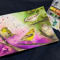 My project in Artistic Watercolor Techniques for Illustrating Birds course. Traditional illustration, Watercolor Painting, Realistic Drawing, and Naturalistic Illustration project by Antoinette Bibis - 02.28.2022
