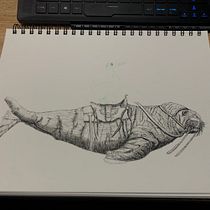 Penguin riding a walrus Ein Projekt aus dem Bereich Traditionelle Illustration, Bleistiftzeichnung, Zeichnung, Realistische Zeichnung, Artistische Zeichnung und Illustration mit Tinte von Christian - 28.02.2022
