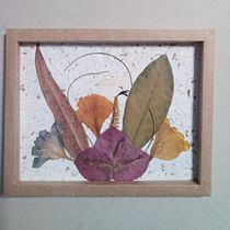 Mi Proyecto del curso: Técnicas básicas de prensado botánico. Un progetto di Artigianato, Belle arti, Collage, DIY e Design floreale e vegetale di nelly_llynn - 01.03.2022