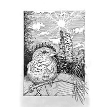 Mein Kursprojekt: Illustration mit Füller und Tinte: Natur zeichnen. Un projet de Esquisse , Dessin, Dessin artistique, Carnet de croquis, Illustration à l'encre et Illustration naturaliste de Andrea Gasser - 01.03.2022