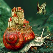 The KING'Snail. Photograph, Collage, Photo Retouching, Digital Illustration, Photographic Composition, and Photomontage project by sab_dz - 04.04.2022