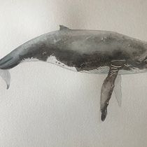 My project in Naturalist Illustration Techniques: Whales in Watercolor course. Un progetto di Illustrazione tradizionale, Design di poster , Illustrazione digitale e Manga di Clarissa - 01.03.2022