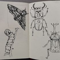 My project in Daily Sketching for Creative Inspiration course. Traditional illustration, Sketching, Creativit, Drawing, and Sketchbook project by Dehaerne Deborah - 03.01.2022