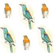 Mi Proyecto del curso: Diseño de estampados textiles. Pequeñas Aves. Traditional illustration, Accessor, Design, Costume Design, Pattern Design, Fashion Design, Printing, and Textile Printing project by Virginia Castillo Muñoz - 03.02.2022