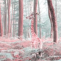 Mon projet du cours : Photomontage et illustrations fantastiques sur Photoshop. Photograph, Collage, Photo Retouching, Digital Illustration, Photographic Composition, and Photomontage project by daniel daniel Guffanti - 03.01.2022