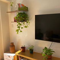 Mi Proyecto del curso: Estilismo y decoración del hogar con plantas. Design interativo, Decoração de interiores, Interiores, DIY, Design floral e vegetal, e Design de espaços projeto de Lucia Fanego - 01.03.2022