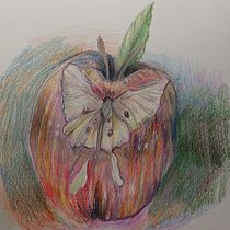 My project in Surrealist Illustration Inspired by Nature course. Traditional illustration, Pencil Drawing, Drawing, Artistic Drawing, Naturalistic Illustration, and Colored Pencil Drawing project by Chan D - 03.01.2022