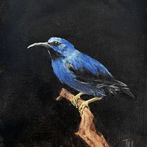 My project in Classical Oil Painting for Naturalist Bird Portraiture course. Fine Arts, Painting, Oil Painting, and Naturalistic Illustration project by jenn_ho - 03.01.2022