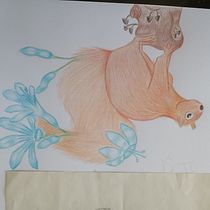 Il mio progetto del corso: Illustrazione surrealista ispirata alla natura. Traditional illustration, Pencil Drawing, Drawing, Artistic Drawing, Naturalistic Illustration, and Colored Pencil Drawing project by Sara Mercuri - 03.02.2022