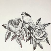 Il mio progetto del corso: Illustrazione naturalistica a penna. Traditional illustration, Drawing, Realistic Drawing, and Naturalistic Illustration project by mrfanuli - 03.02.2022