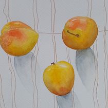 Mi Proyecto del curso: Naturaleza ilustrada: una exploración creativa. Traditional illustration, Painting, Drawing, Watercolor Painting, Ink Illustration, Naturalistic Illustration, and Fine Arts project by Zamira Navarrete - 03.02.2022