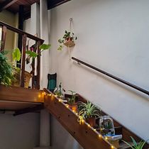 Mi Proyecto del curso: Estilismo y decoración del hogar con plantas. Design interativo, Decoração de interiores, Interiores, DIY, Design floral e vegetal, e Design de espaços projeto de ceciansan - 02.03.2022