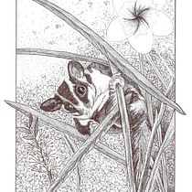 My project in Naturalist Illustration with Ballpoint Pen  course. Traditional illustration, Drawing, Realistic Drawing, and Naturalistic Illustration project by mcpaan - 03.03.2022