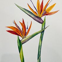 My project in Botanical Illustration with Watercolors course. Ilustração tradicional, Artes plásticas, Pintura, Desenho, Pintura em aquarela e Ilustração botânica projeto de Kris Olgy - 03.03.2022