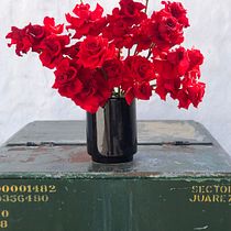 Mi Proyecto del curso: Diseño y creación de composiciones florales. Un progetto di Interior design, Paesaggismo, Interior Design, DIY e Design floreale e vegetale di Carolina Chavira Meza - 03.03.2022