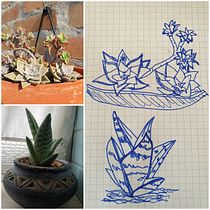 Il mio progetto del corso:  Sketchbook botanico: un approccio meditativo. Ilustração tradicional, Esboçado, Desenho, Pintura em aquarela, Ilustração botânica, e Sketchbook projeto de Shona Secor - 04.03.2022